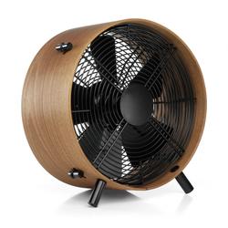 Electric fan in a wooden case